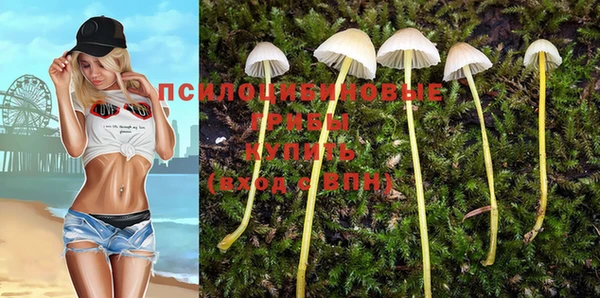 марки nbome Дмитров