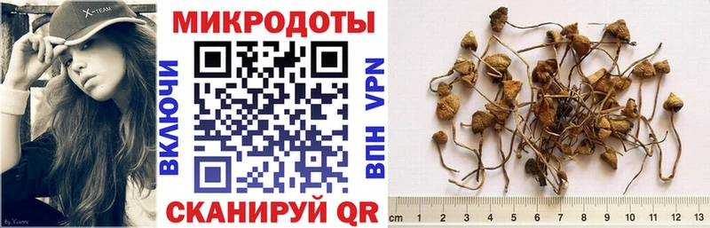 Галлюциногенные грибы ЛСД  Ахтырский 